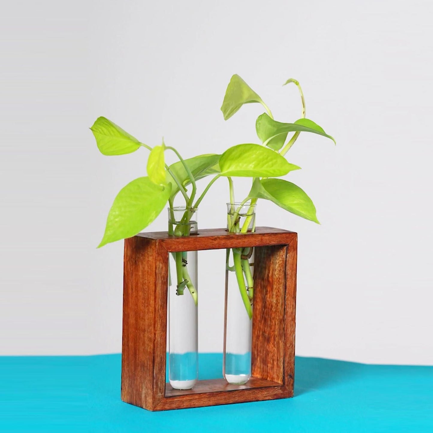 Glass Planter with Wooden Stand